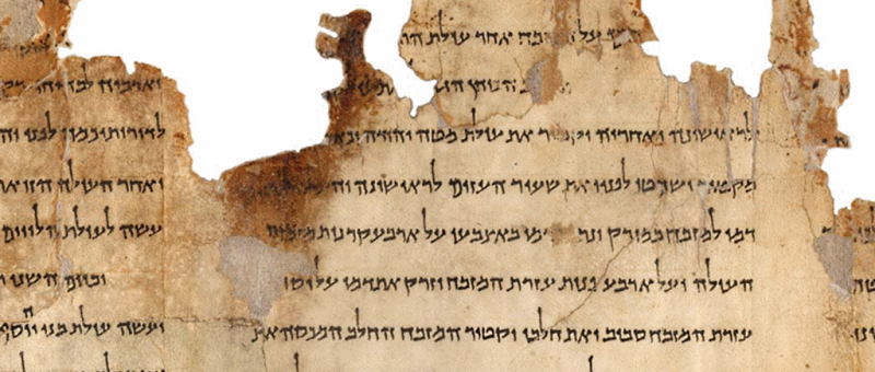 An ancient scroll with a ragged and torn edge, written in Hebrew script.